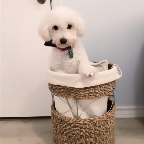 Meet your Posher, Ni - Picture 1 of 1